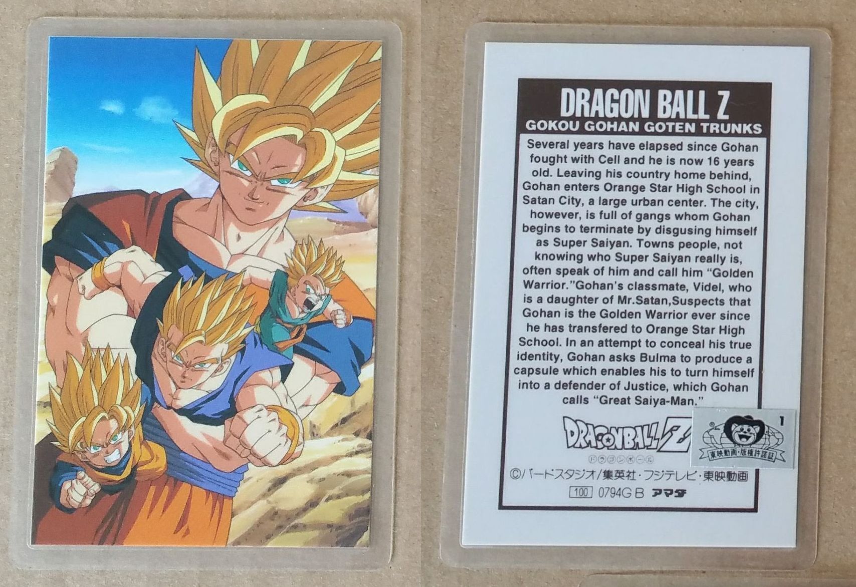 DragonBallZ 0794GB