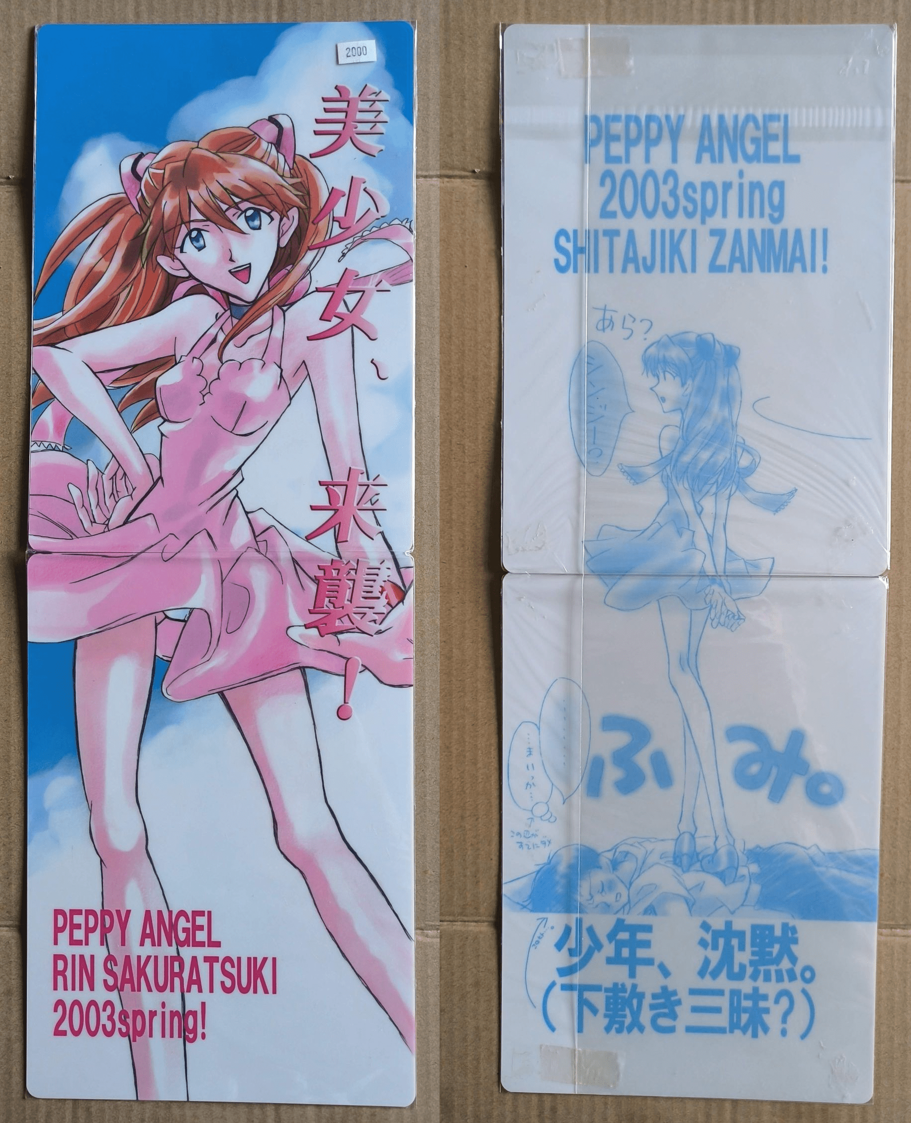 Neon_Genesis_Evangelion_2set-Doujin