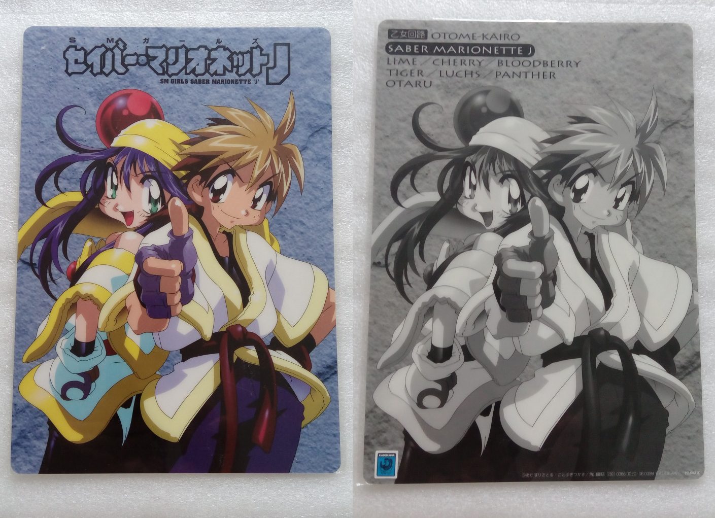 Saber_Marionette_J_01_0399