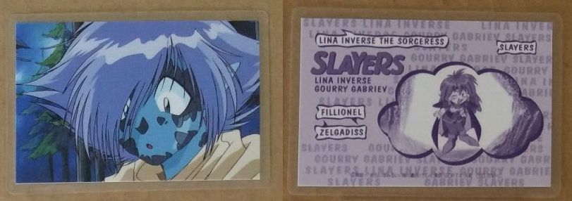 Slayers 0795C