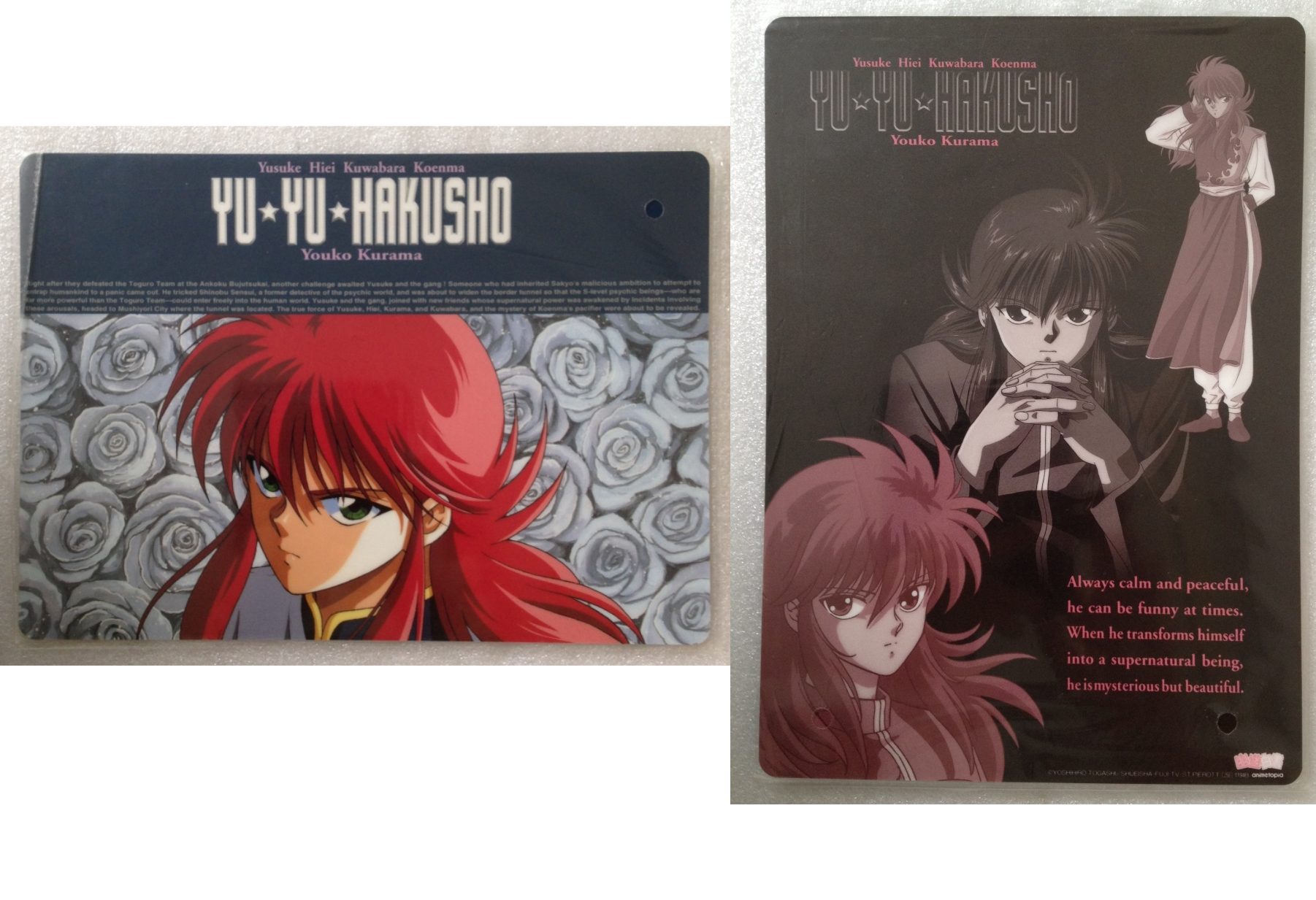 Yuyu_Hakusho_09_1194B