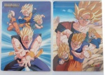Dragonball_23.jpg