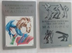 Macross_01.jpg