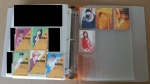 20170305_114541.jpg