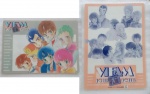 Vifam_06.jpg