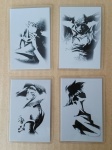 20170806_104235.jpg