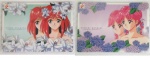 Tokimeki_11.jpg