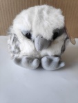 Swoop 11May98 a.jpg