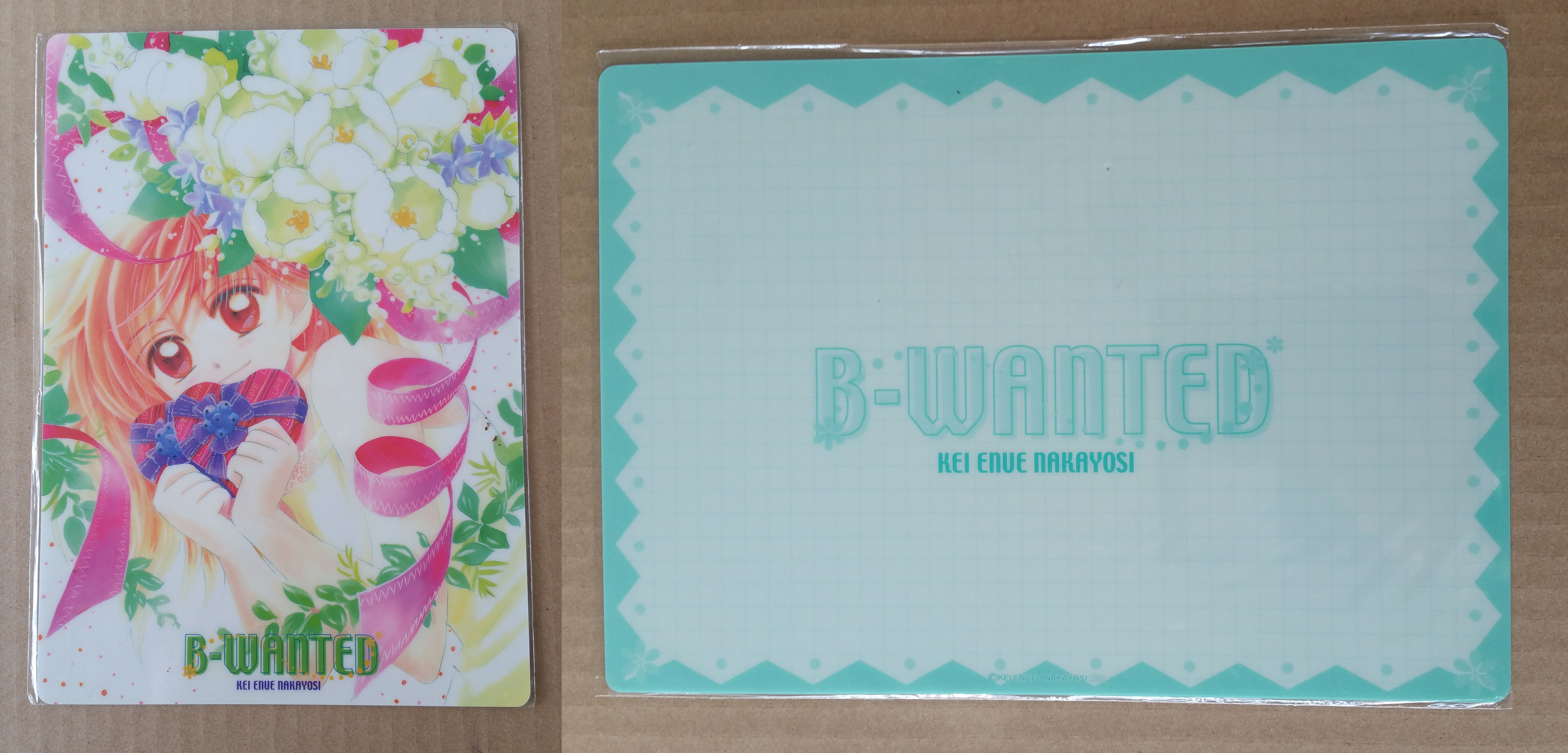 B-Wanted_Nakayoshi_f_B-Wanted_Nakayoshi_r.jpg
