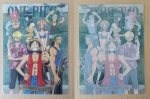 One_Piece_01_f_One_Piece_01_r.jpg