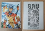 Pirate_Intruder_Gau_1189_f_Pirate_Intruder_Gau_1189_r.jpg
