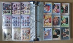 YuYu_Hakusho_08.jpg