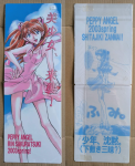 Neon_Genesis_Evangelion_2set-Doujin.png