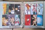 Eva_Binders_IMG_20250222_125419.jpg