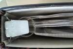 Eva_Binders_IMG_20250222_125652.jpg