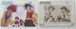 DNAngel_03.jpg